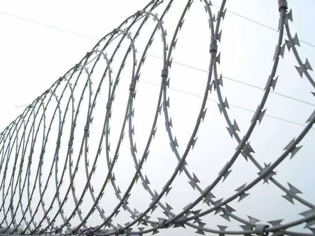 Barbed Wire & Razor Wire detail